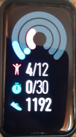 Honor Band 6 Metrics.jpg